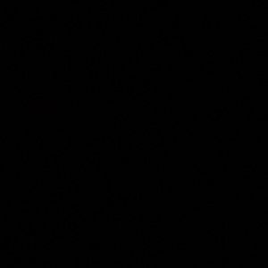 Meet your Posher, Perla